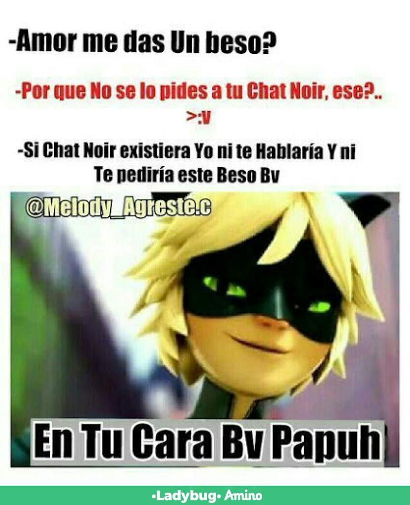 Les Traigo Memes Miraculous Ladybug Español Amino