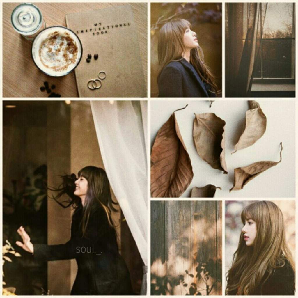 lisa aesthetic! brighteststarlisaday