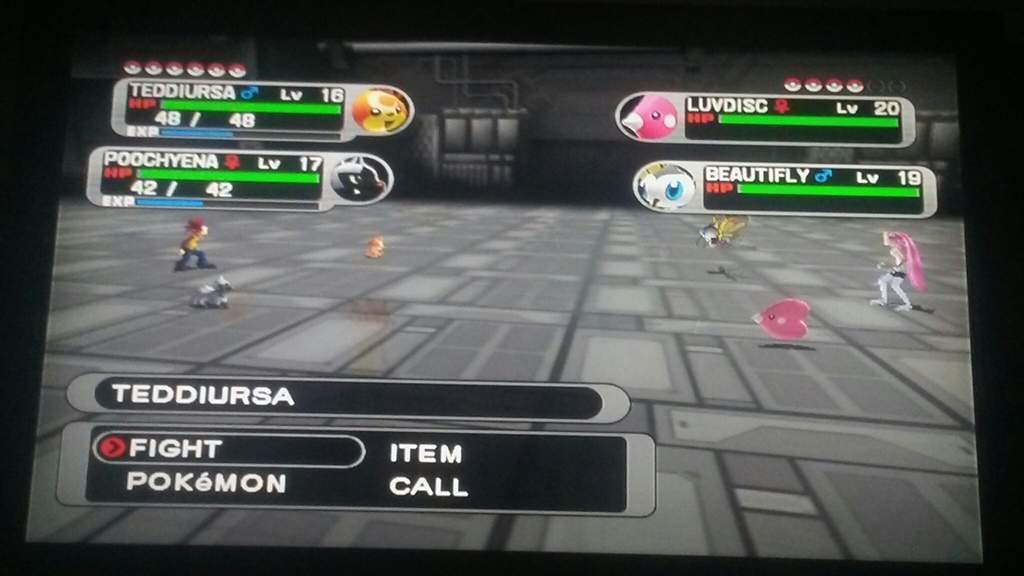 pokemon gale of darkness pokemon gale of darkness