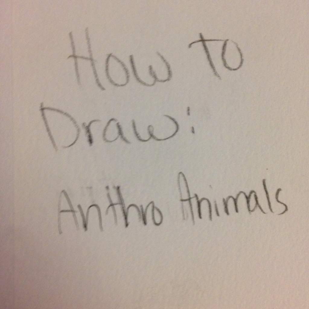 How To Draw Anthro Animals Furry Amino