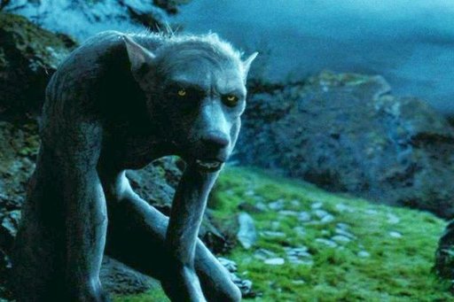 How come Remus Lupin transforms into such a scrawny werewolf? | Harry ...