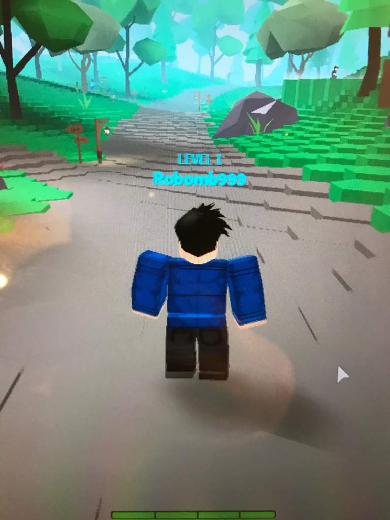 How To Get The Crystal Crown Rpo Roblox Amino