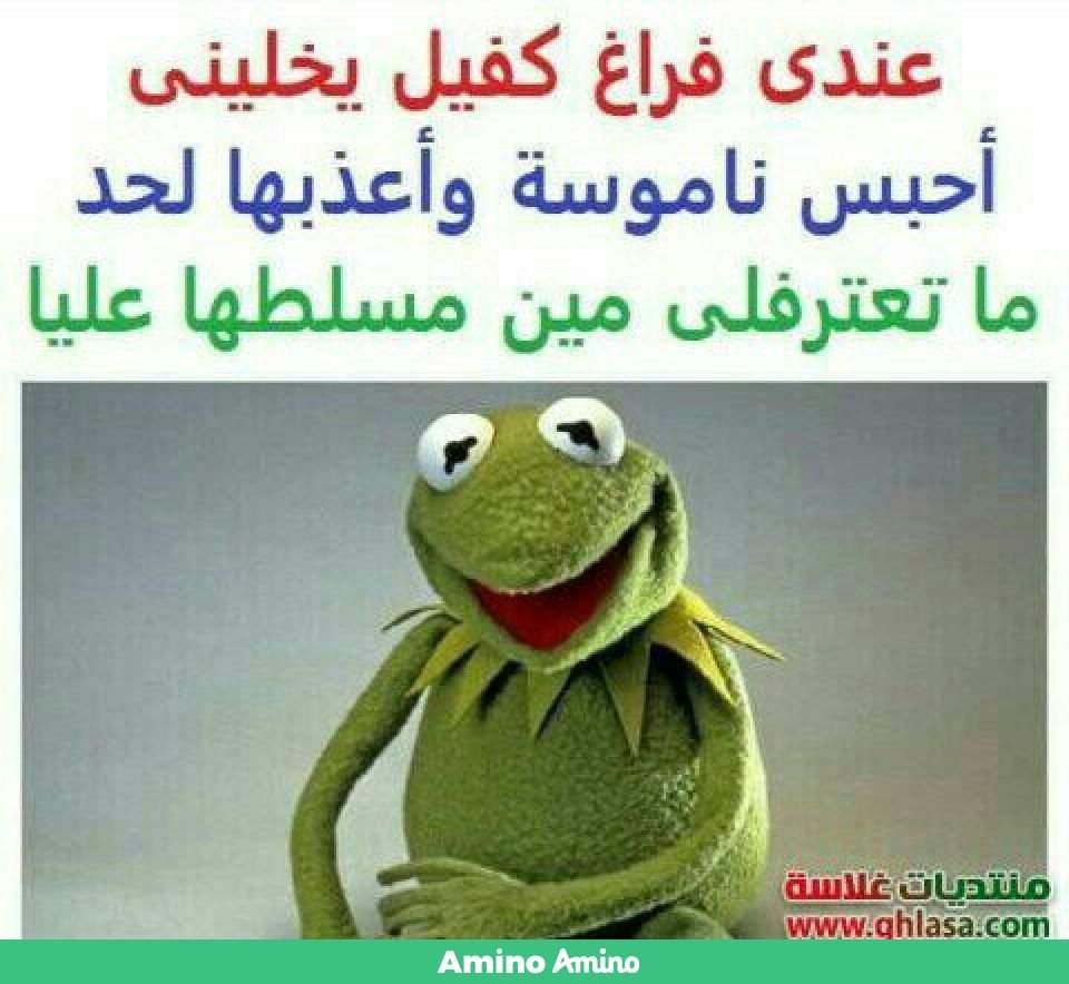 الضفدع كريمت سخسخة نكت تحشيش Amino Amino