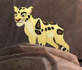 « Waasi » | Wiki | • Lion King Amino • Amino