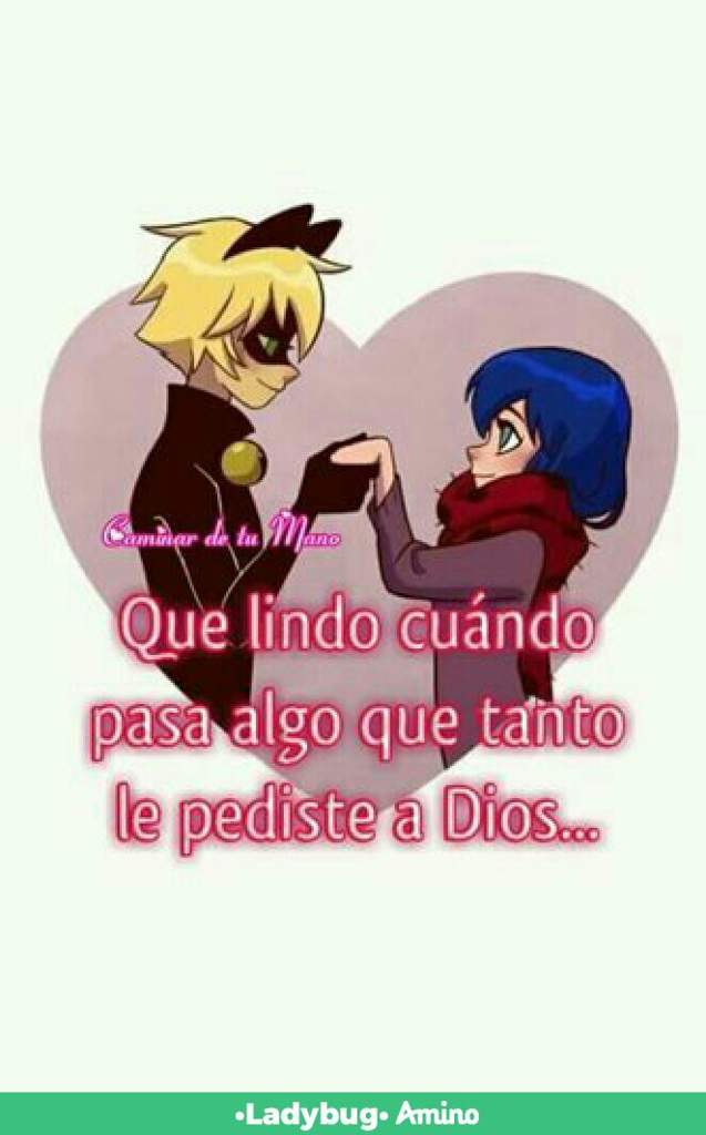 Los 4 Shipp Wiki •miraculous Ladybug Español• Amino 7955