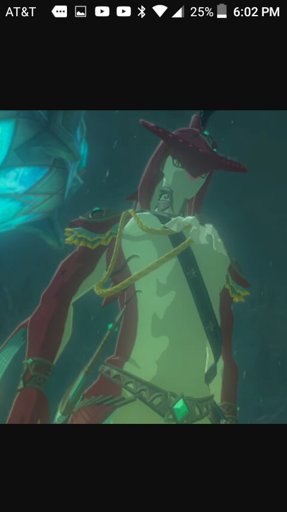 Sidon Vs Kass | Zelda Breath Of The Wild Amino Amino