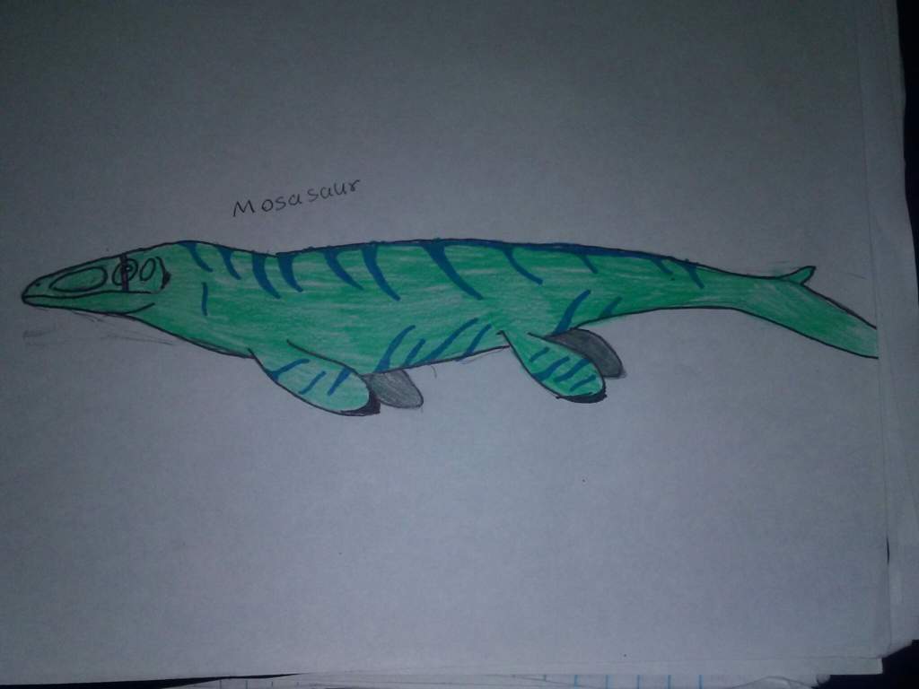 Mosasaurus Drawing - Kids draw tv 2.272.402 views2 year ago. - Yayoi