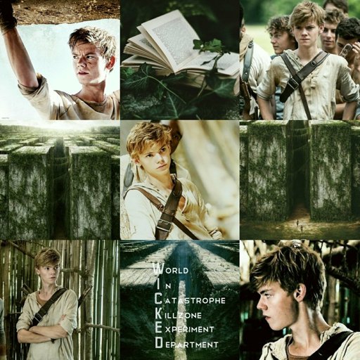 Newt Aesthetic | The Glade Amino