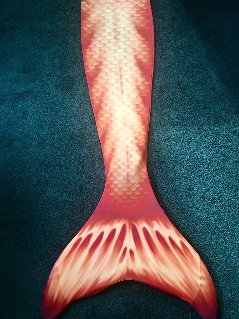 New H2o Mako Mermaid Tail Mermaid Amino Amino