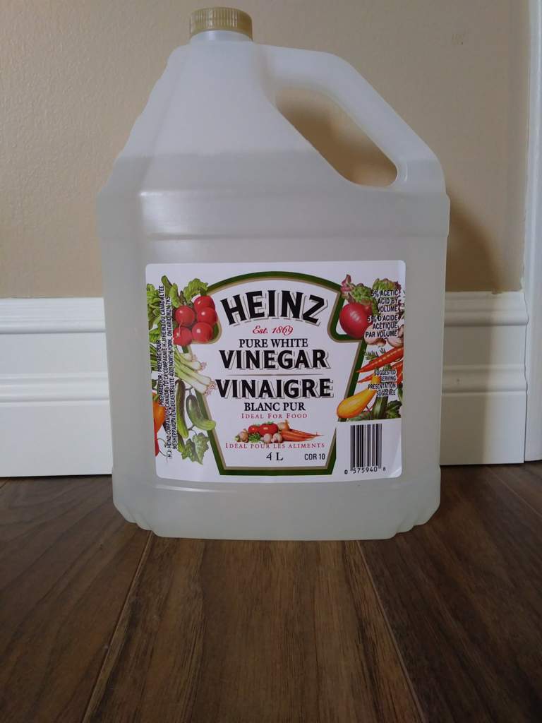 How to make a humidity hide Reptiles Amino