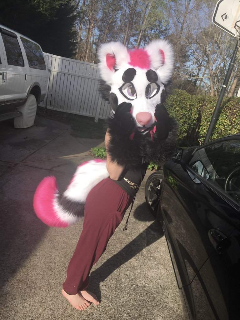 My newest fursuit!! | Furry Amino