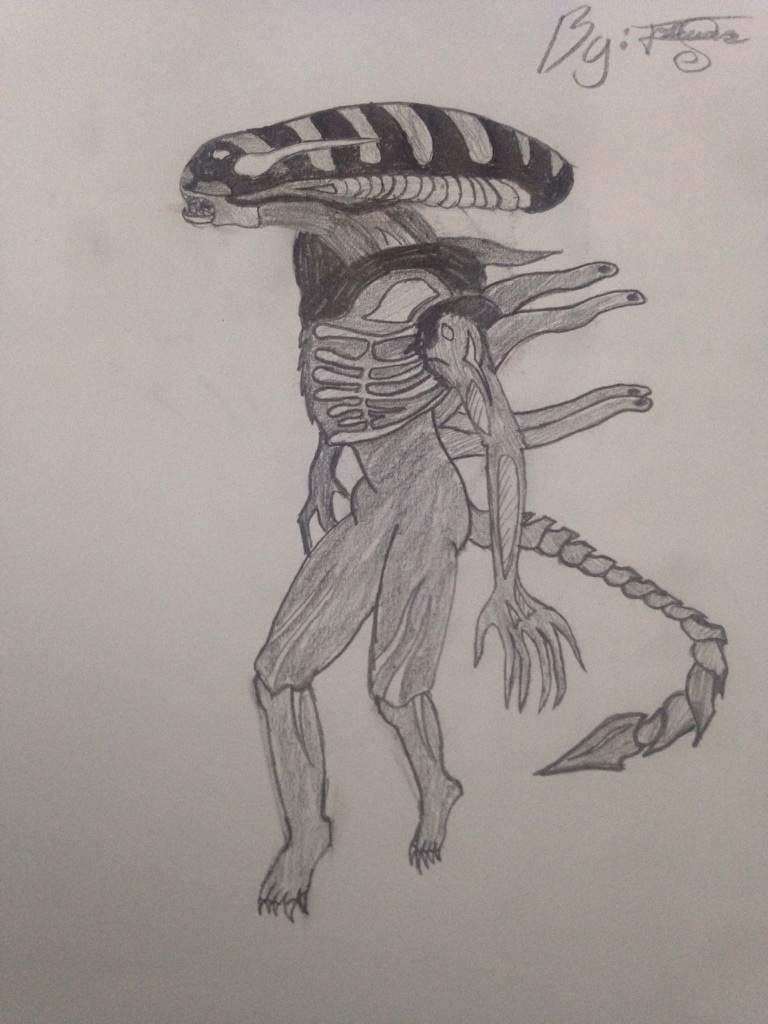 Xenomorph Alien Vs Predator Drawing