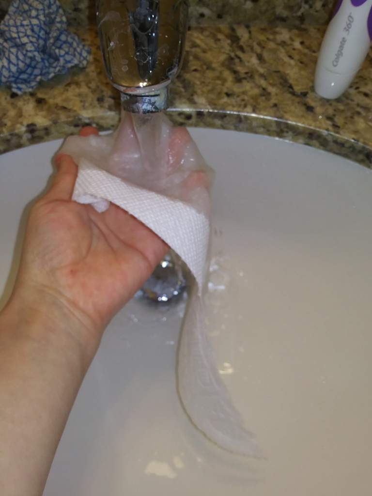 How to make a humidity hide Reptiles Amino