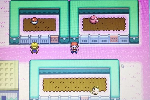 pokemon sweet version mark and katia fight pokemon sweet version mark and katia fight