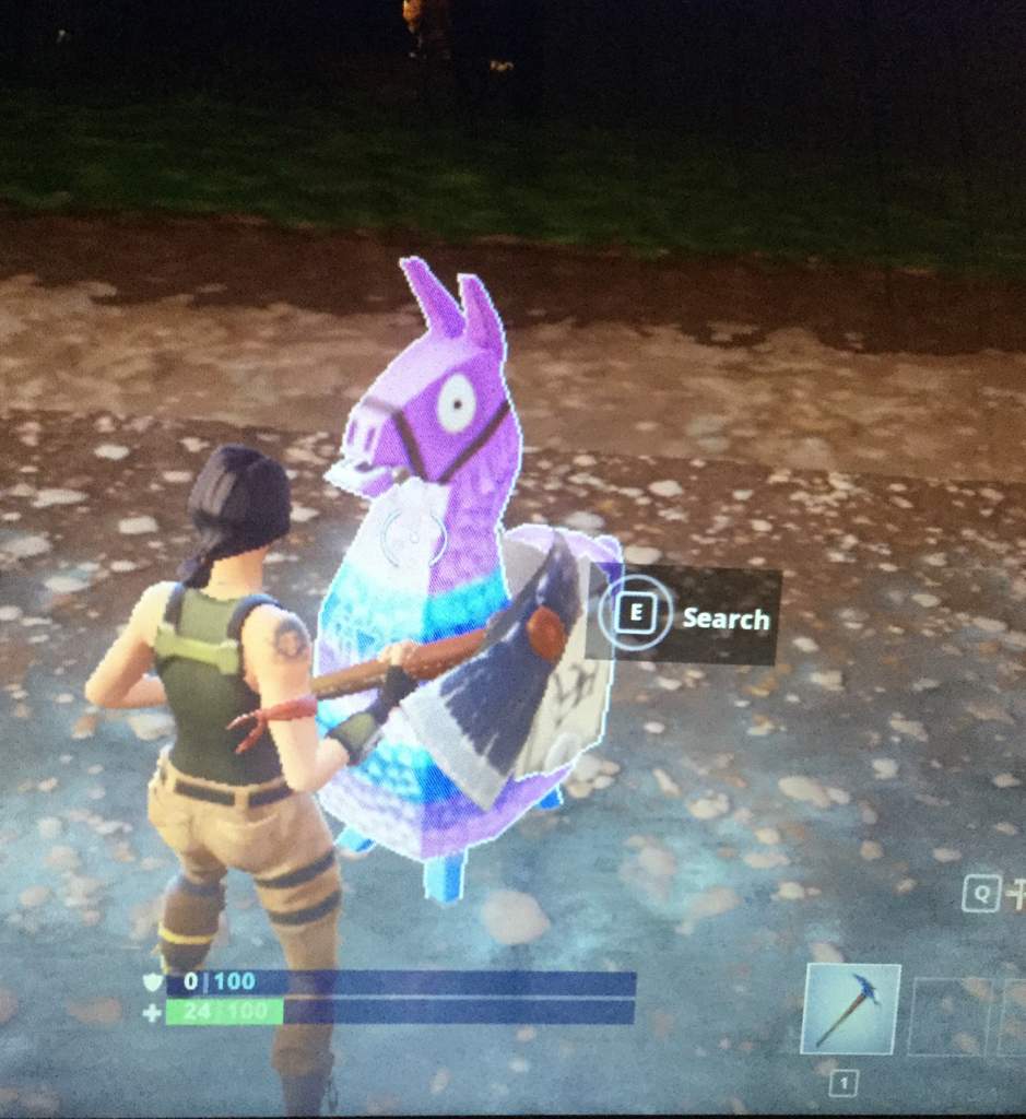 i know it s lame i m saving up for an xbox 1 and i am a noob at fortnite i found my first llama on saturday happy late easter here is a picture - the fortnite llama song