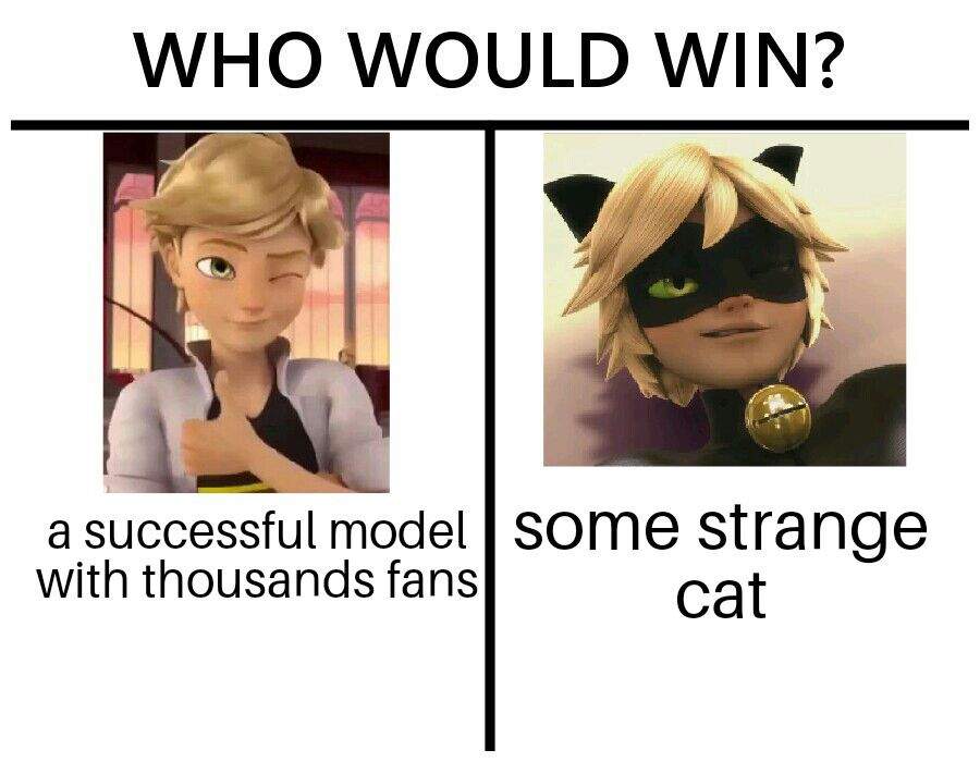 Cat Noir Memes 2 Miraculous Amino