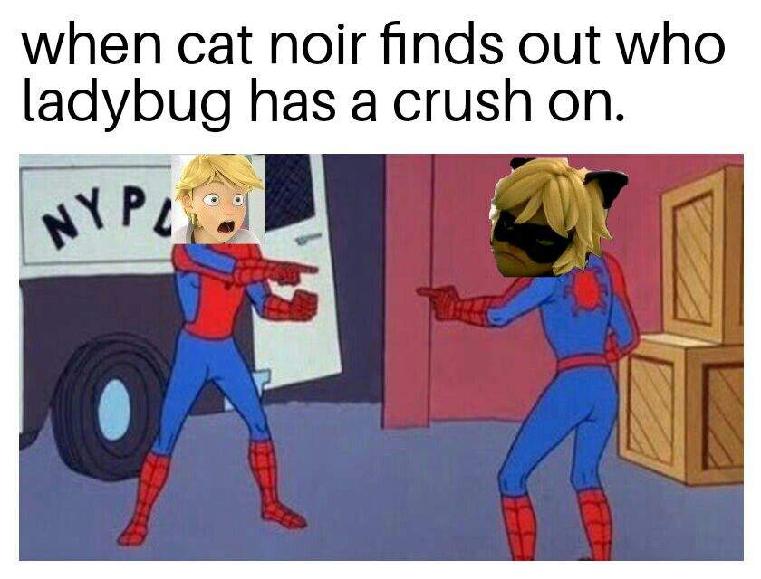 Cat Noir Memes 2 Miraculous Amino