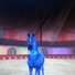 amino-Star Stable 14-9f6d8325