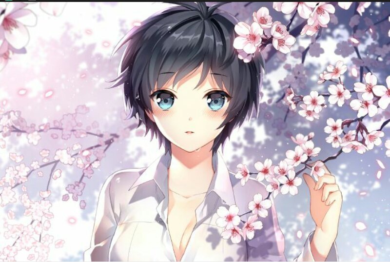 صور انمي مع ازهار الكرز امبراطورية الأنمي Amino