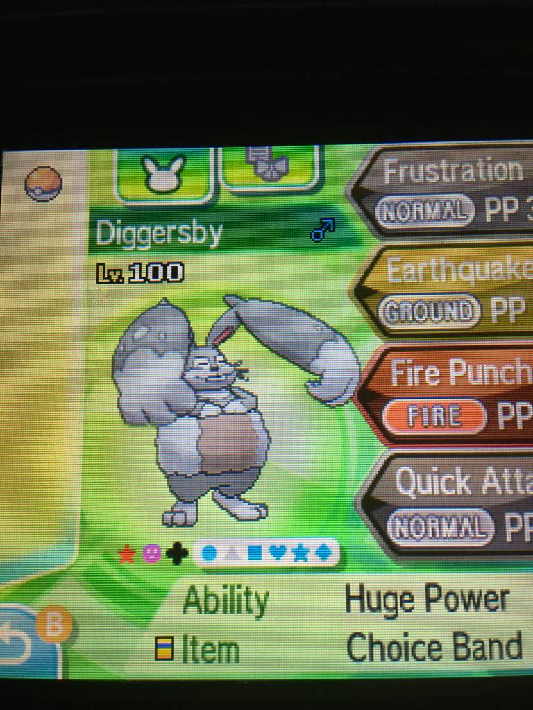 shiny diggersby