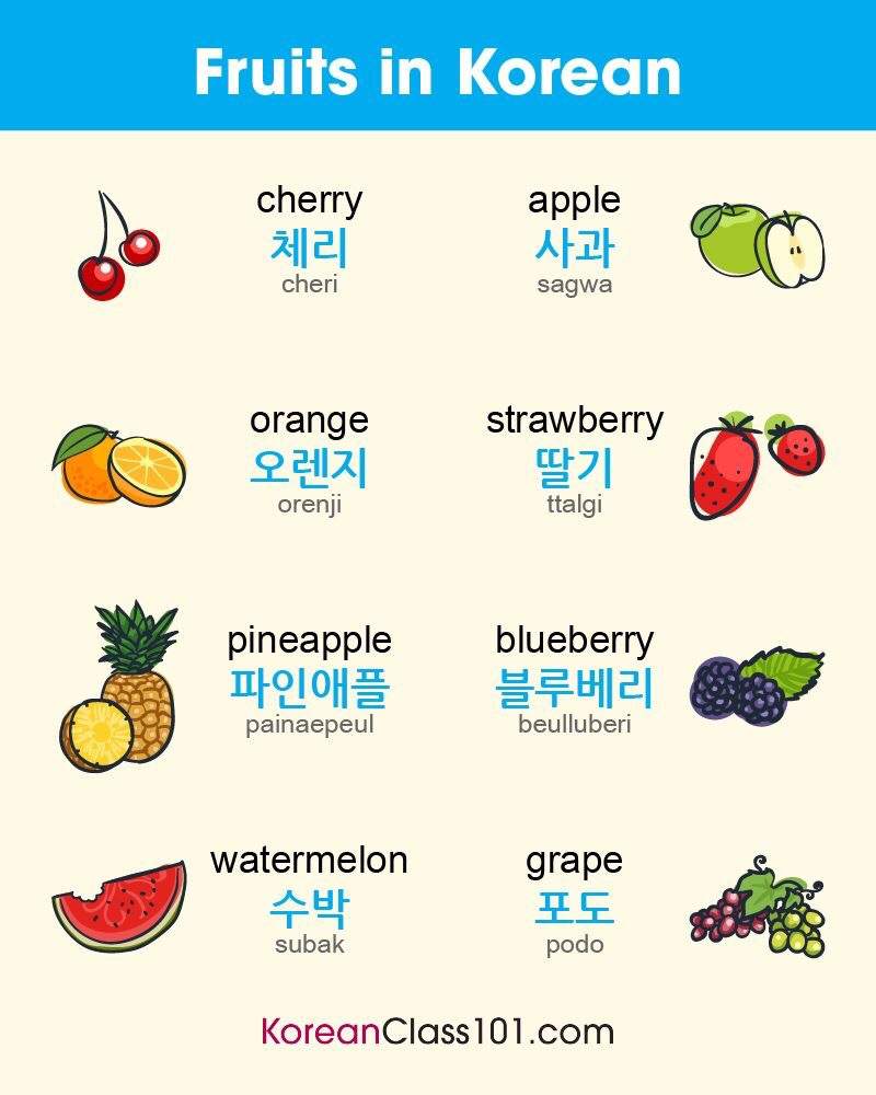 Fruits in Korean🍇 | Korean Language Amino