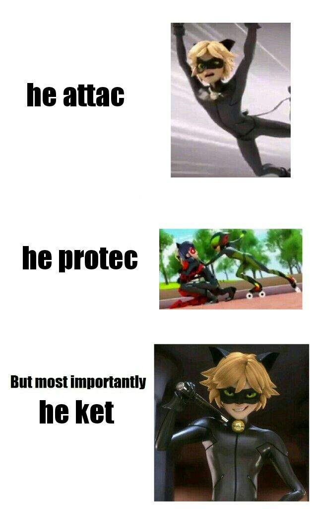 Cat Noir Memes 2 Miraculous Amino