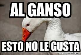 Memes de gansos | •Animes Island• Amino