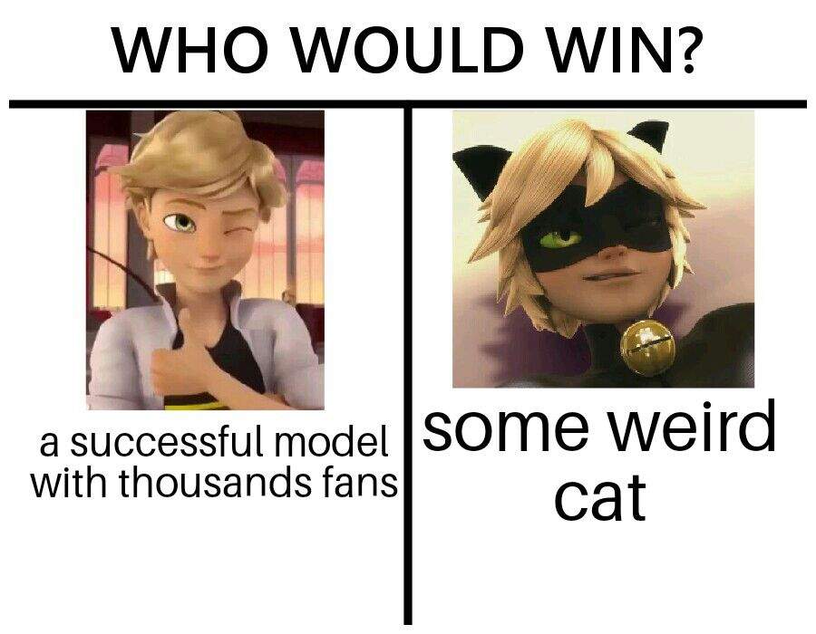 Cat Noir Memes 2 Miraculous Amino