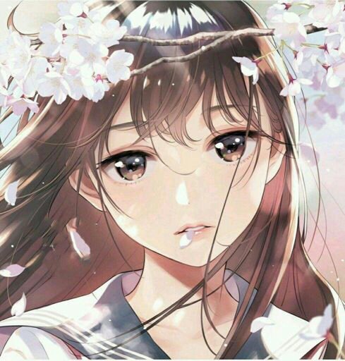 صور انمي مع ازهار الكرز امبراطورية الأنمي Amino