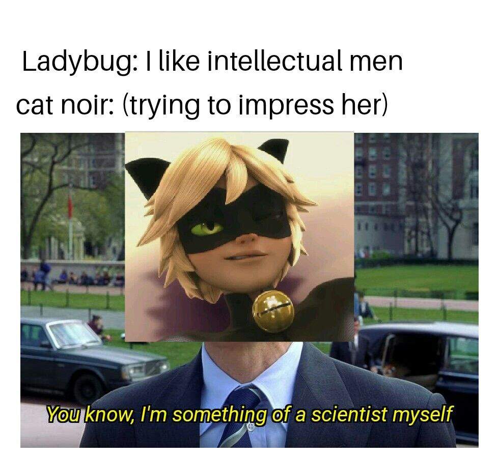 Cat Noir Memes 2 Miraculous Amino