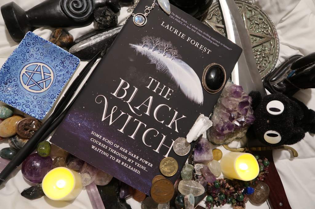 the black witch by laurie forest