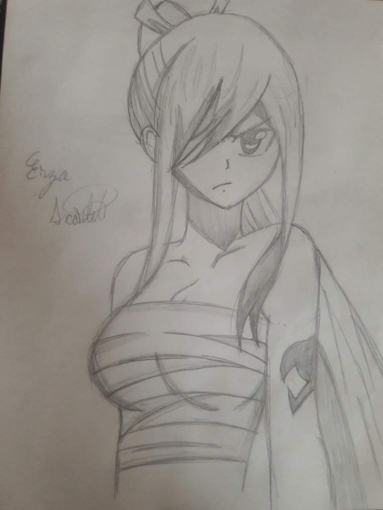 Featured image of post Erza Fairy Tail Drawing I still am actually xd lol this was