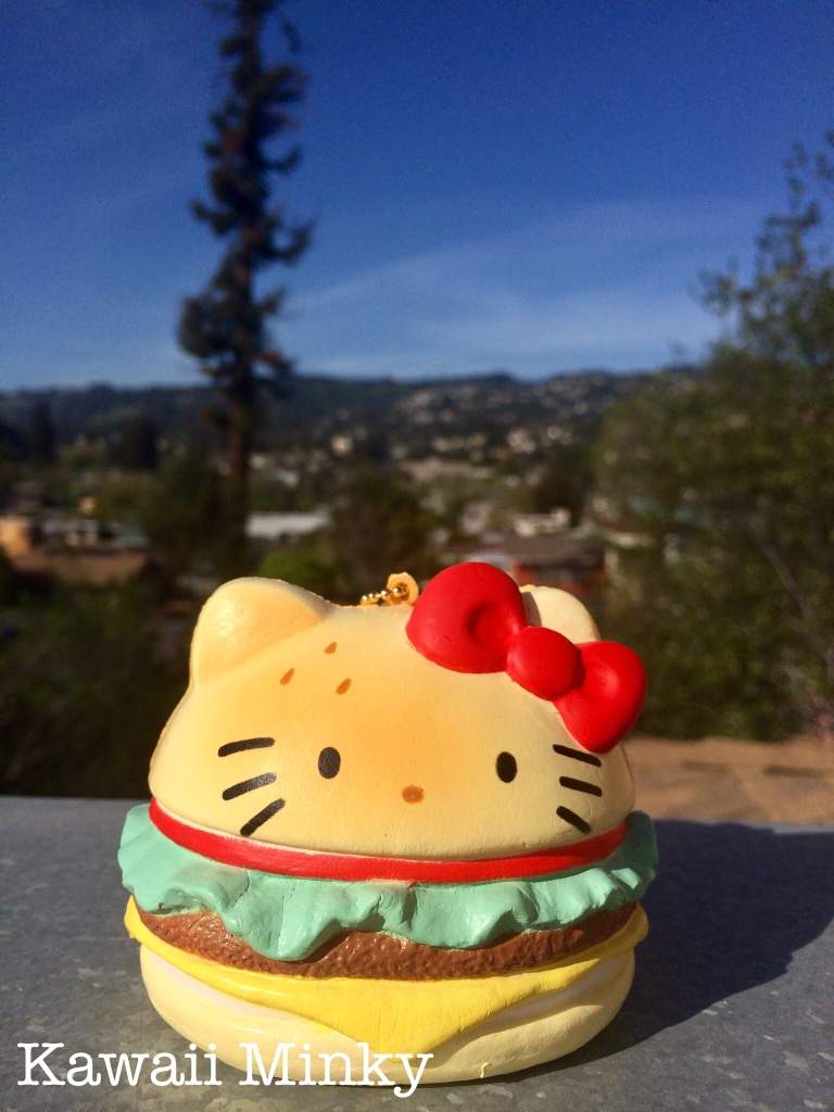 Hello Kitty Burger!!🐱🍔 | Squishy Love Amino