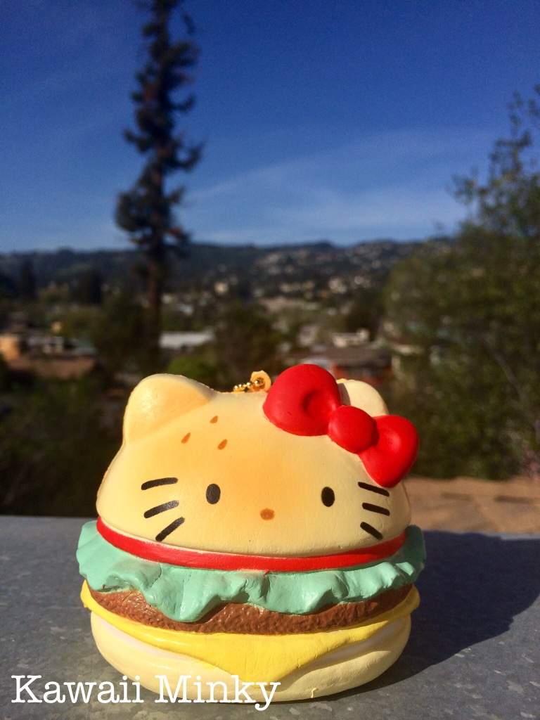 hello kitty burger squishy