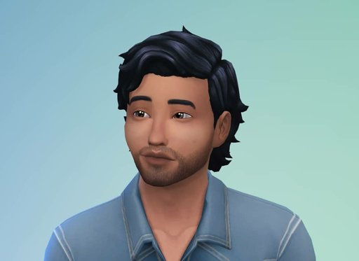 Meet the Gresham Family | Sims Amino