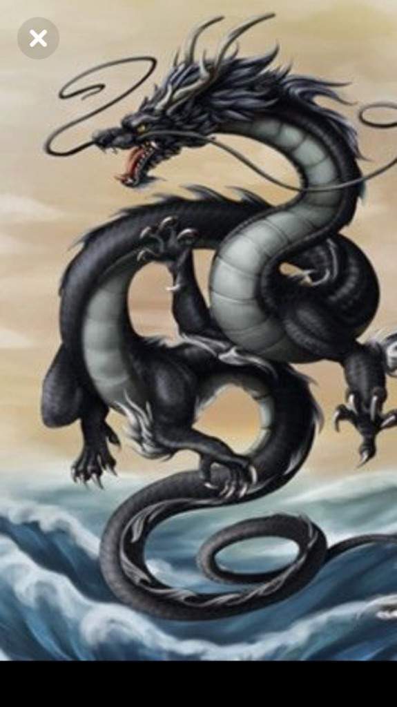 Roar Of The Dragon Mandragora Coven Amino
