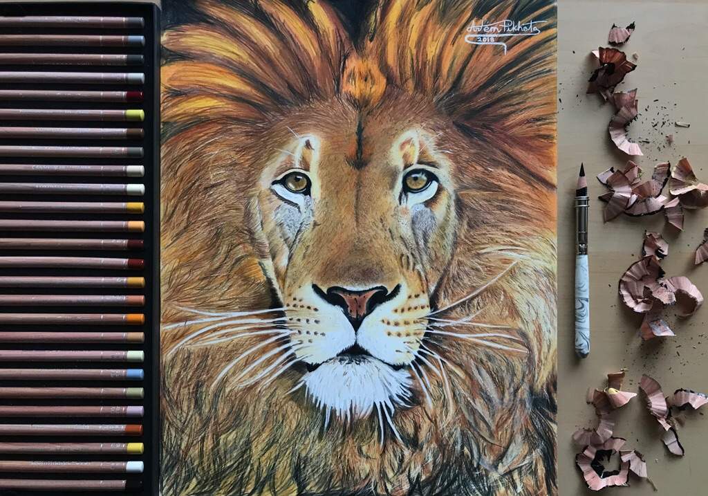 lion colour sketch by injured-eye on DeviantArt