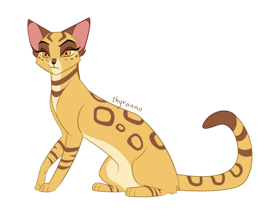 leopardstar-warriors-amino