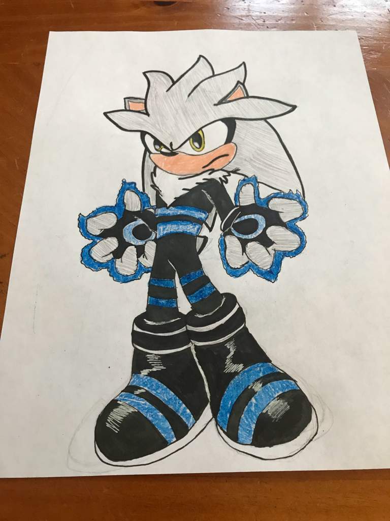 Silver the Hedgehog Racer suit | Sonic the Hedgehog! Amino
