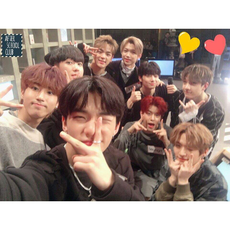 Смешные фото stray kids