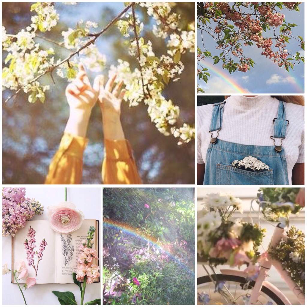 Spring Aesthetics🌻🌷 | Official Aesthetic Amino