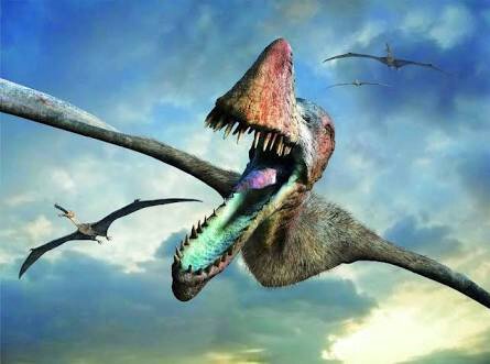 Top 5 Dinosaurios REALES captados en camara y vistos en la vida real !!! | ⚪Jurassic Park Amino⚪ Amino Top 5 Dinosaurios REALES captados en camara y vistos en la vida real !!! | ⚪Jurassic Park Amino⚪ Amino