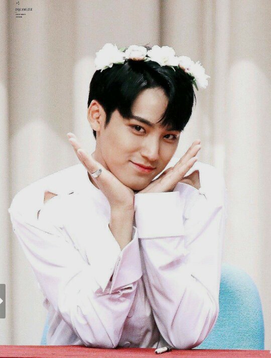 Mingyu birthday