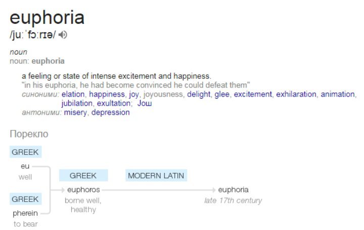 chasing euphoria meaning