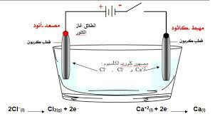 الكالسيوم متع عقلك Amino Amino