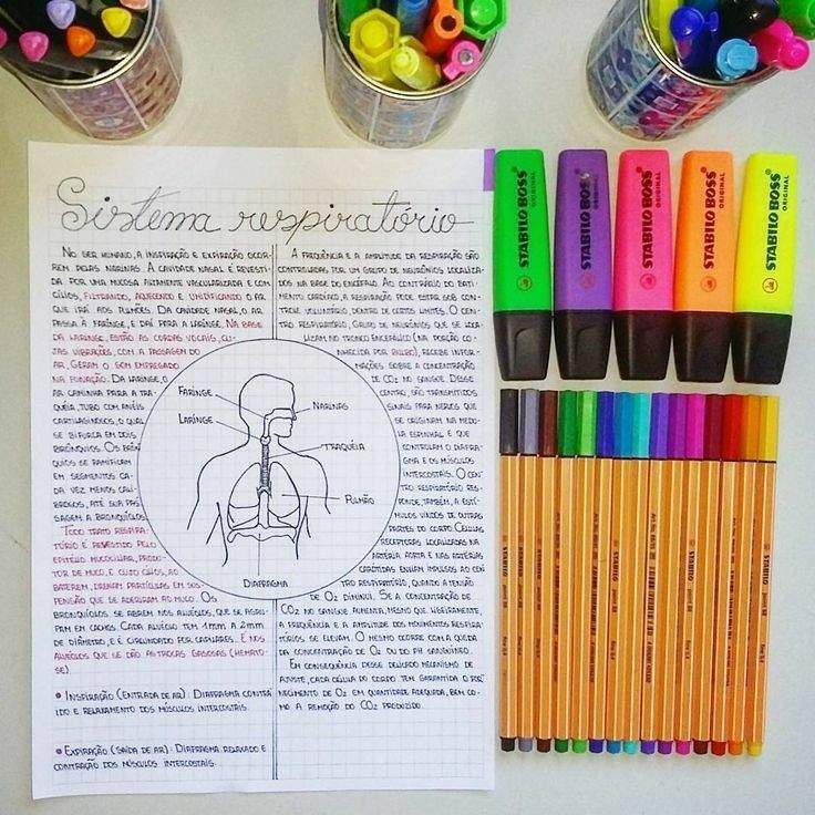 Sistema Respiratório (Resumo) Saber School Amino