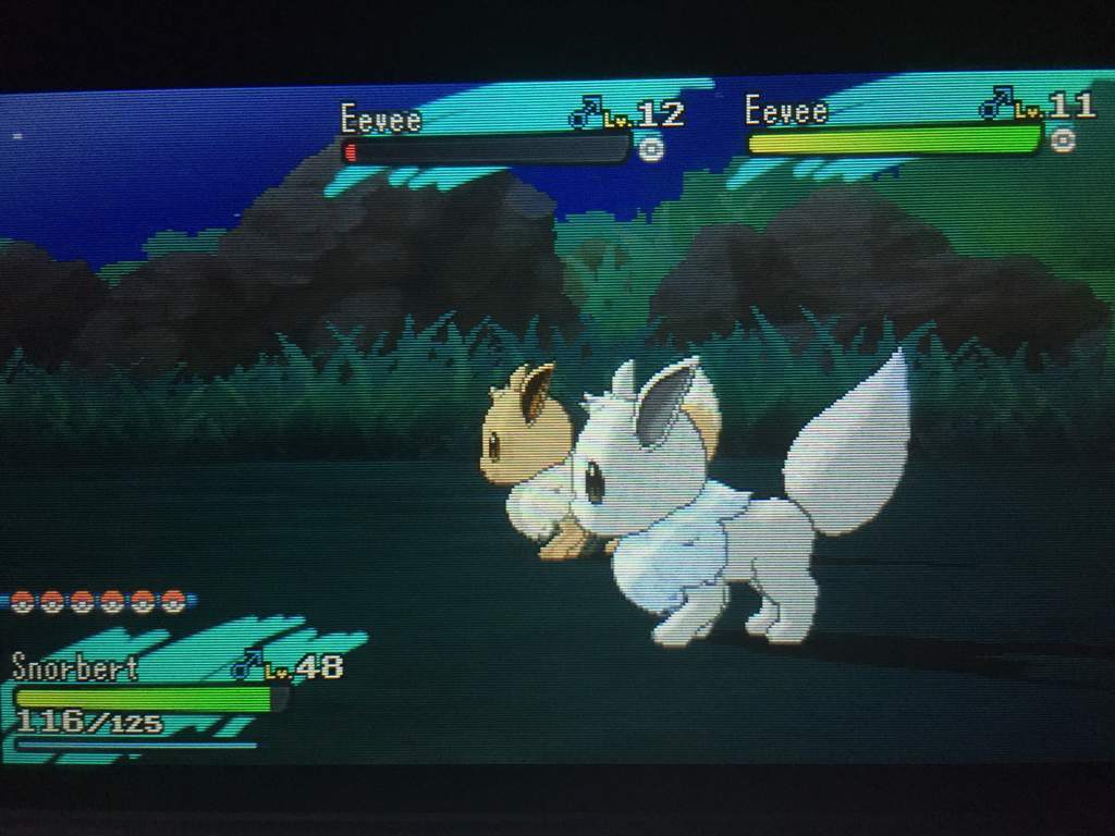 Sos battle pokémon