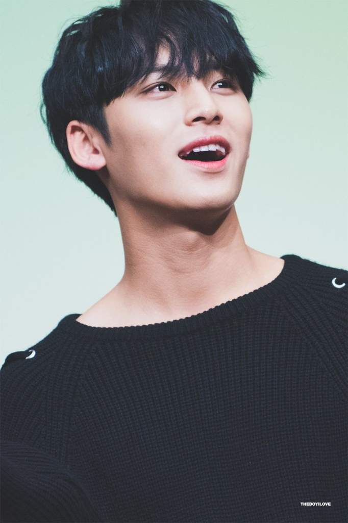 HAPPY BIRTHDAY MINGYU | Seventeen Amino Amino