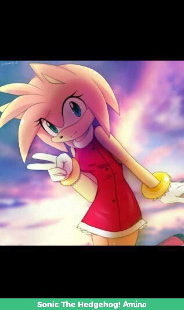 ️Amy Rose/Married ️ | Sonic the Hedgehog! Amino