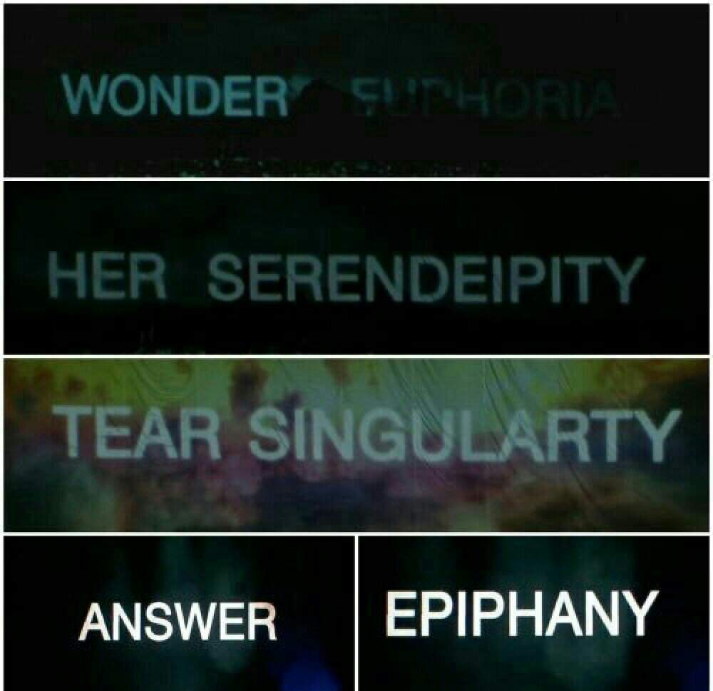 起 Wonder Army S Amino